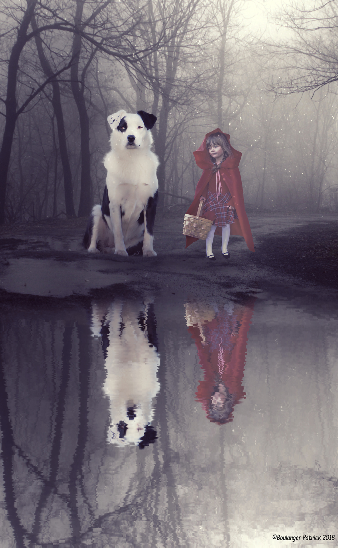 la fille et son chien