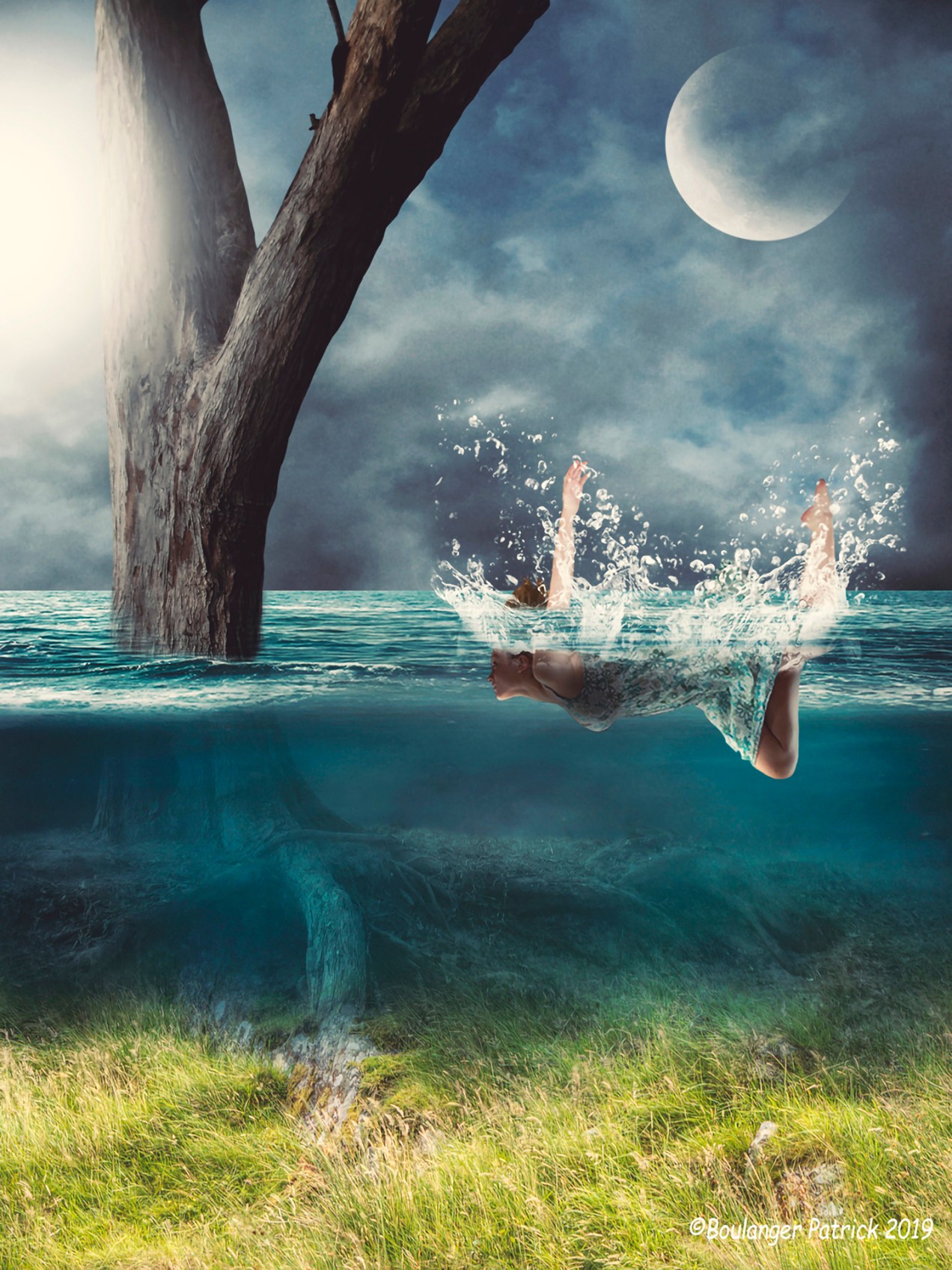 Dead Tree BG by the-night-bird.deviantart.com