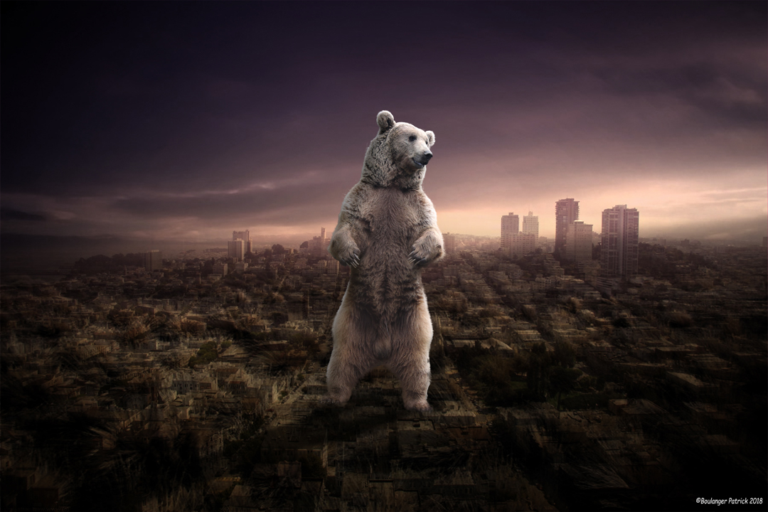 ours sur ville