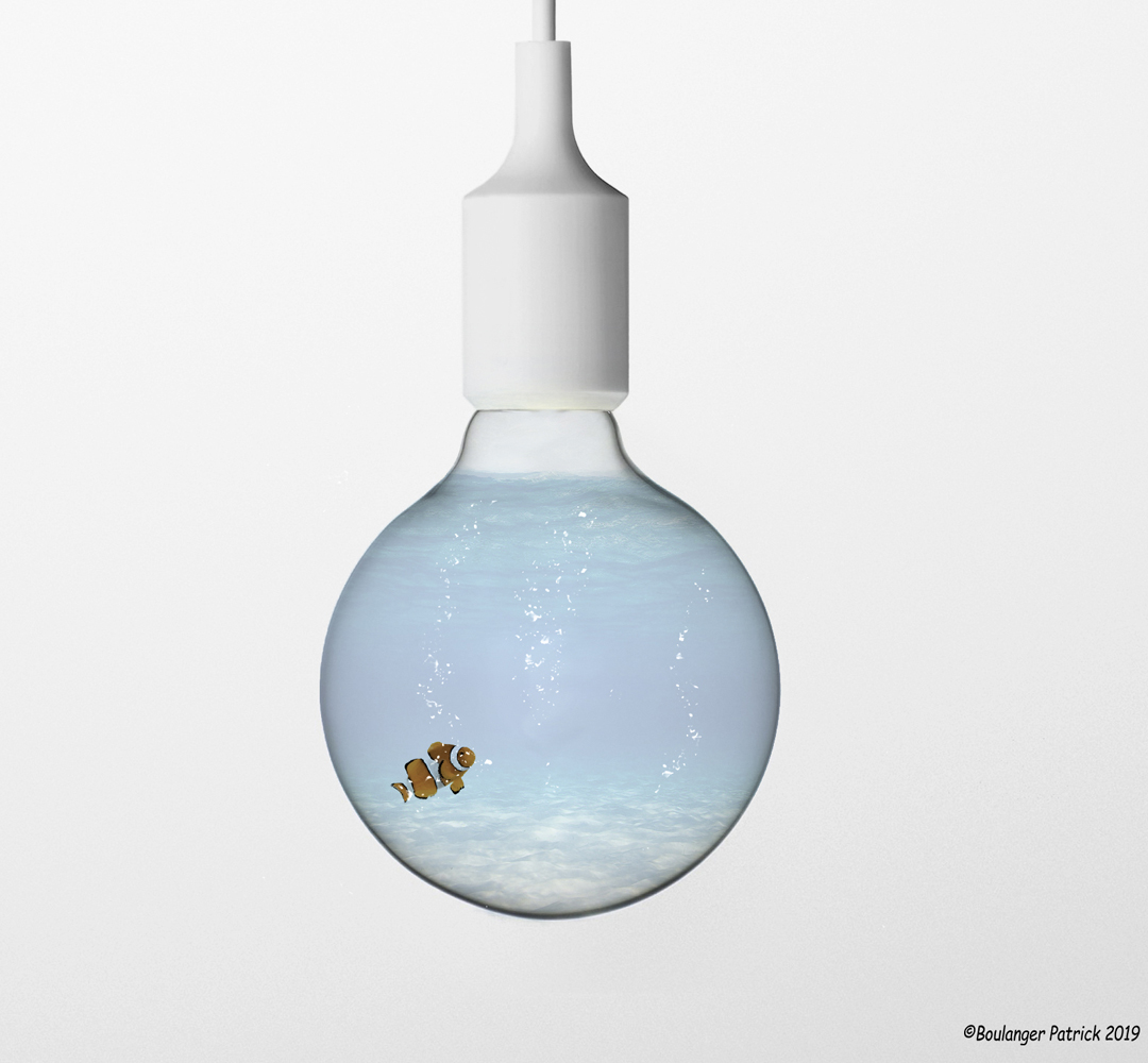 poisson lampe