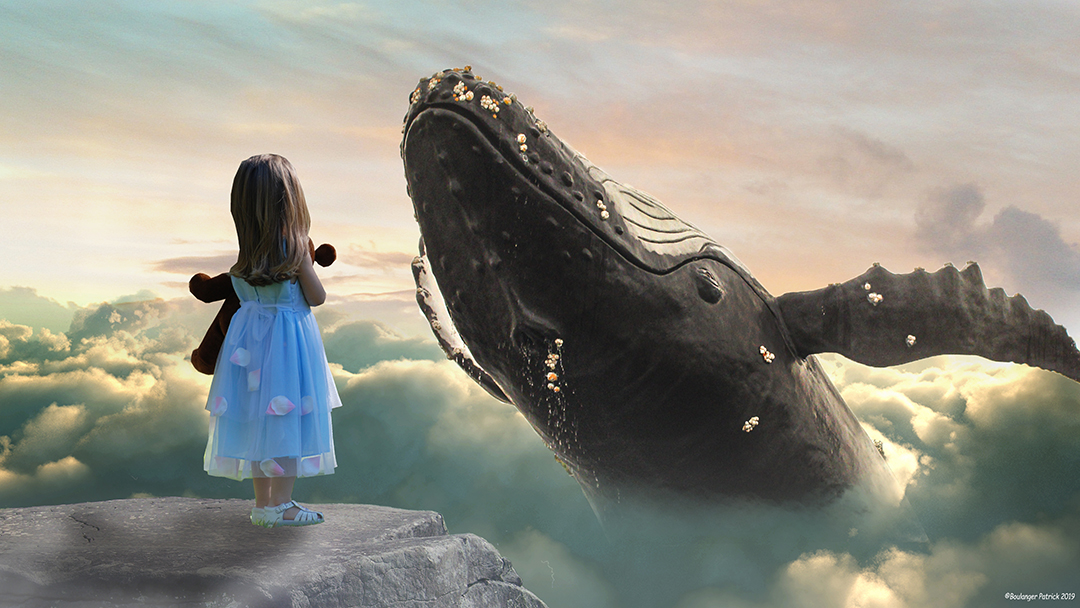 la fille et la baleine