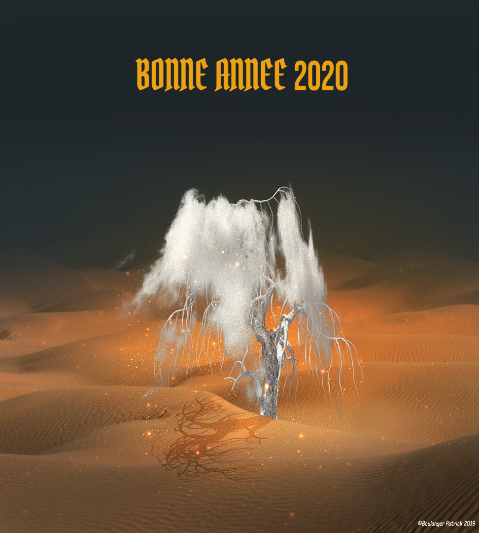 bonne année 2020